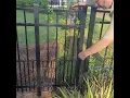 4ft Black Aluminum Puppy Picket Fence with Puppy Picket add on