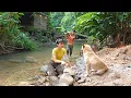 Download Lagu Young Couple Builds Off-Grid Paradise from Scratch | 4-Month Journey | Start to Finish