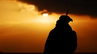 شيلة حامد الضبعان انا على المقناص 