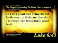 The Gospel of Luke Chapter 6 - Bible Book 42
