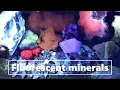 Download Lagu Opal, Ruby, Amber, Calcite and other fluorescent minerals! Comparison of seven different UV sources.