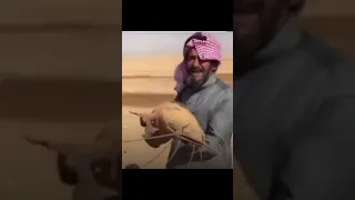 سمكة بتعيش بالرمل وبتتنفس الهوا تعر ف على السل ور الصحراوي السعودية أميركا الربع الخالي سمك 