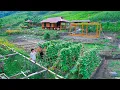 Download Lagu Aquaculture process - harvesting, selling clean products, gardening at SANG VY Green Farm