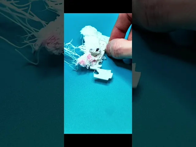 Bloxi - Bunny video thumbnail