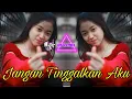 Download Lagu Dj Aku hanya ingin berkata sayang - remix terbaru full bass || NS REMIX