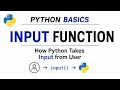Python Input Function How to Take User Input in Python Python Basics