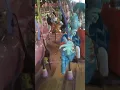 Dr Suess Carousel