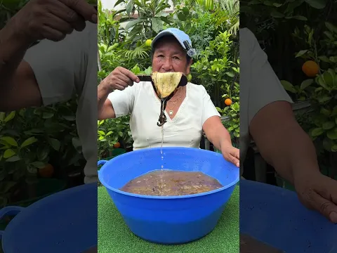 Como usar estos abonos en nuestro jardin en casa