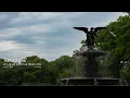 'Reflections' - A Liquid Drum & Bass Mix