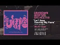 Unknown Mortal Orchestra - Can’t Keep Checking My Phone (Official Audio)