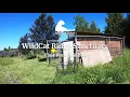 WildCat Ridge Sanctuary Walkthrough - Part 5: Finnigan and Baz