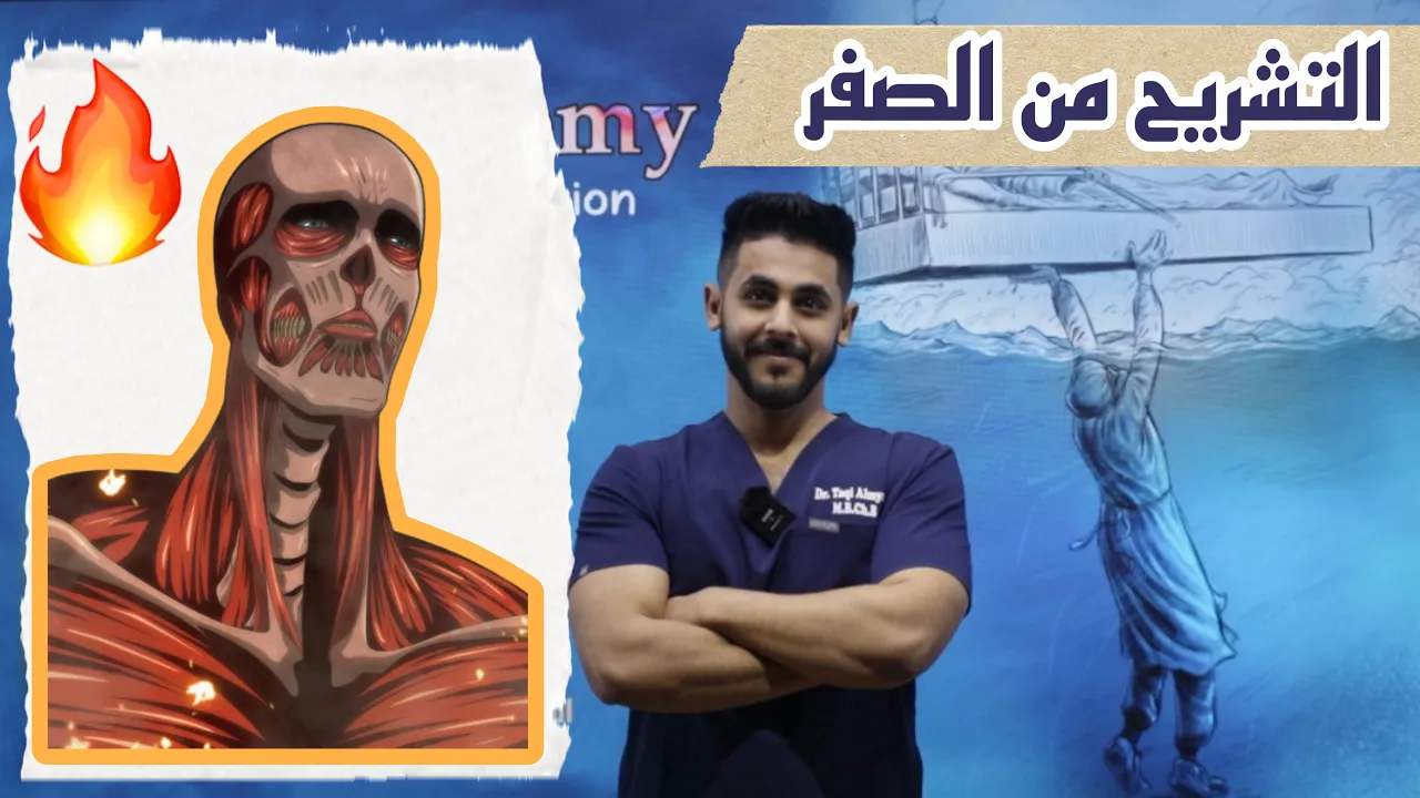L1: Introduction to Upper limb anatomy P2 شرح بالعربي