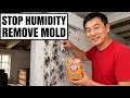 How the Japanese Reduce HUMIDITY and Remove MOLD Forever