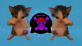 dj kicau kicau mania remix angkat lah topi minat monggo japri slow viral tiktok full song 2026