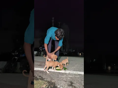 ❤️ உங்கள் அன்பிற்கு நன்றி! support pannunga ✨ #youtube #dog #doglife