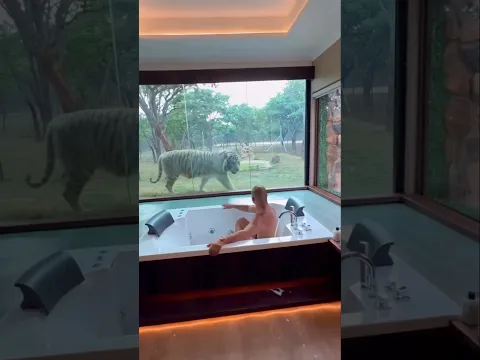 Wait for it… 👀