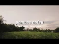 Download Lagu lagu alas - pemuas nafsu (lirik)