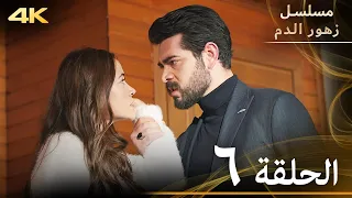 الحلقة 6 مسلسل زهور الدم مدبلج بالعربية Kan Çiçekleri 