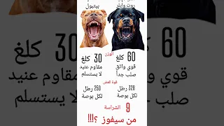 روت وايلر ضد البيتبول من سيفوز في هذا القتال 