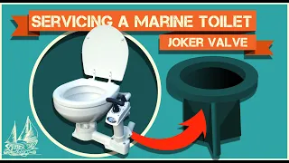 Jabsco Marine Toilet – Replacing Joker Valve and Lubricating with Salad dressing