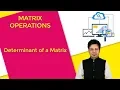 12 Determinant of a matrix