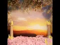 A Brighter Love (Edit)