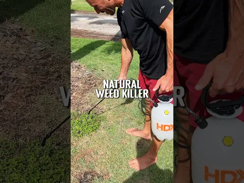 Non toxic herbicide recipe