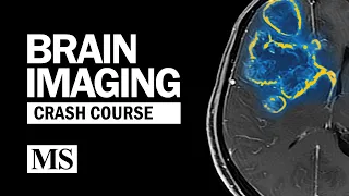 Brain Imaging Crash Course