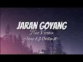 Download Lagu Jaran Goyang New Version - Sasya A ft Chintya M (ra bakal sayang atiku kebal pelet) || Lirik Lagu🎵