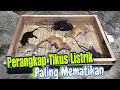Download Lagu JEBAKAN TIKUS LISTRIK LANGSUNG GOSONG