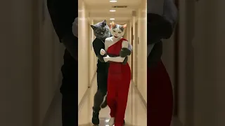 مياو الشاطر طلع صايع شوفو أبوه عمل فيه اى قطط بالذكاء الاصطناعى قط مياو المشاكس البطل مياو اكسبلور 