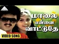 Download Lagu மாலை என்னை வாட்டுதே HD Video Song | பூக்களை பறிக்காதீர்கள் | சுரேஷ் | நதியா | T. ராஜேந்தர்