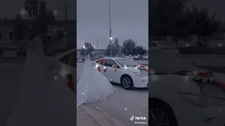 اعراس جزائرية  اعراس جزائرية