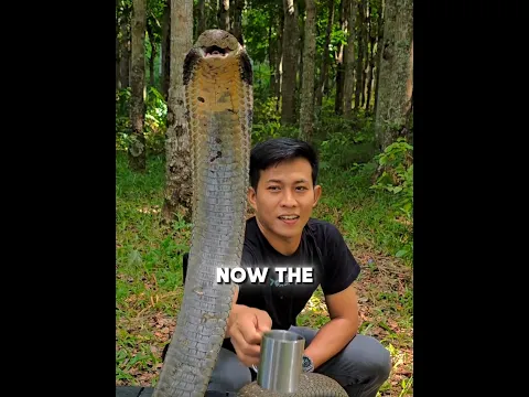The Gentle-Hearted Snake Tamer