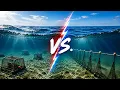100 Lobster Pots vs 1 Mile of Nets What Caught More