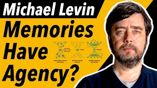 On Memory as a Self-Adapting Agent