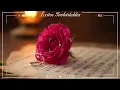 Julio Iglesias Grandes Éxitos 🌹 Julio Iglesias Sus Mejores Canciones de Todos los Tiempos