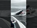 Download Lagu ¡IMPACTANTE! Ballena Se Traga un Barco con Personas 😱🐋