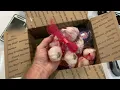 Unboxing garlic order from Keene Garlic out of Madison Wisconsin