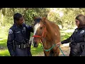 It s Animal Control Officer Appreciation Week