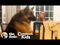 150-Pound German Shepherd Loses 50 Pounds The Dodo Comeback Kids