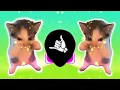 DJ KICAU KICAU KICAU MANIA SLOW VIRAL TIKTOK FULL SONG MAMAN FVNDY 2026 YANG KALIAN CARI CARI