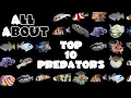 Download Lagu Top 10 Fish for a Predator Saltwater Tank