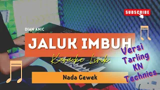 Download Jaluk Imbuh - Dian Anic | KARAOKE TARLING | NADA CEWEK | ALINSTA STUDIO MP3