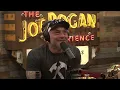 Joe Rogan Experience - Luke Combs