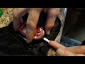 Relion Meter and Strips Testing Blood Sugar