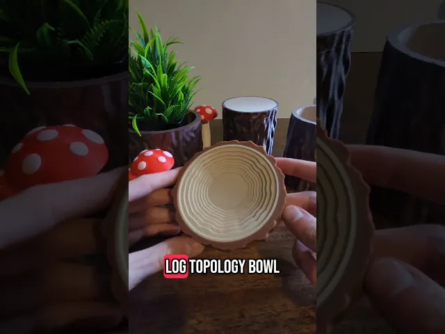 Log Topology Bowl! video thumbnail