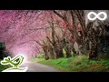 Download Lagu 9 uur aan ontspannende pianomuziek • Mooie slaapmuziek \