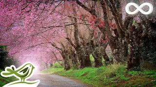 9 Hours Of Relaxing Piano Music Beautiful Sleep Music Our Future Piano Version 