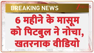 Pitbull Attack : 6 महीने के मासूम को पिटबुल ने नोचा, खतरनाक वीडियो | Haryana | Sonipat | Breaking